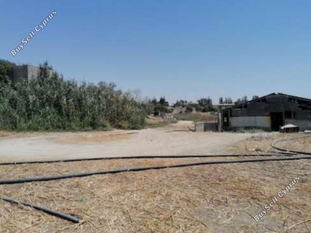 Land in Larnaca (859665) for sale