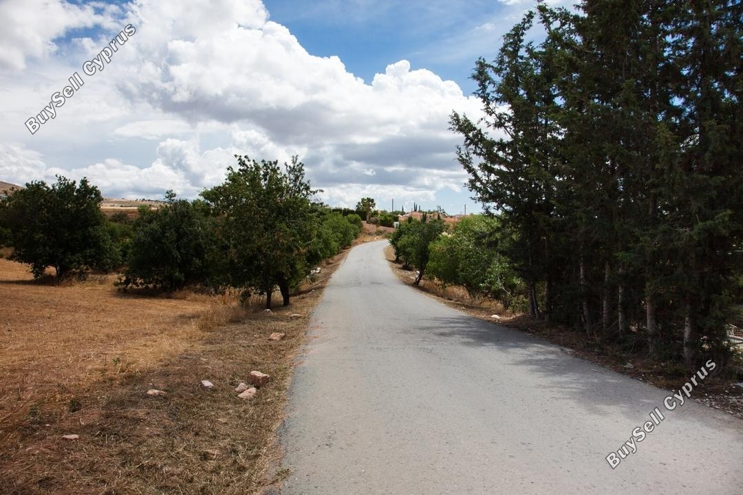 Land in Paphos (861071) for sale
