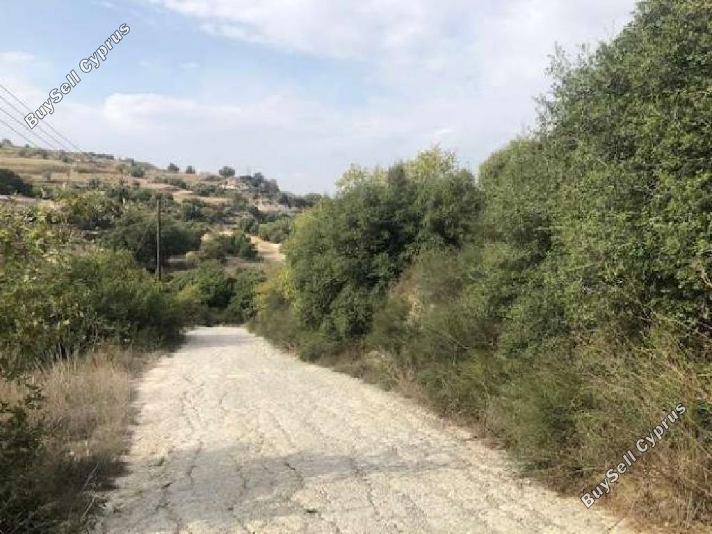 Land in Paphos (870350) for sale