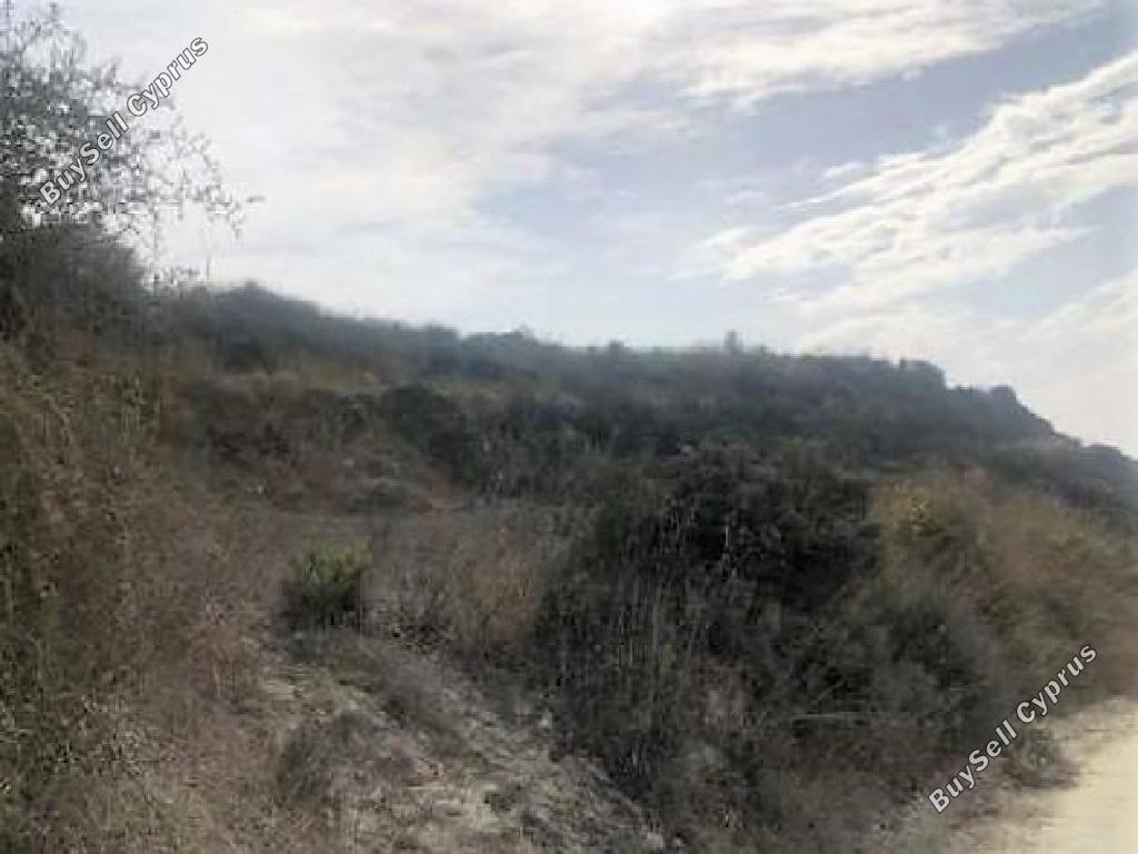 Land in Paphos (870351) for sale