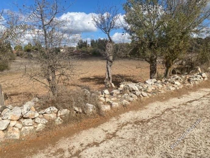 Land in Paphos (872236) for sale