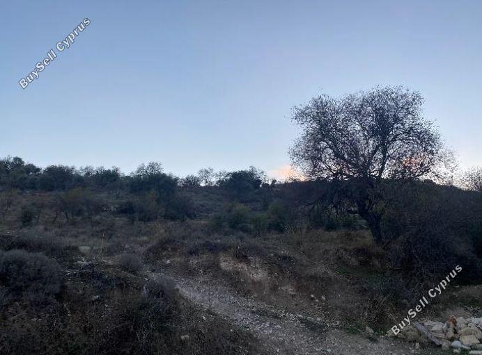 Land in Paphos (875675) for sale