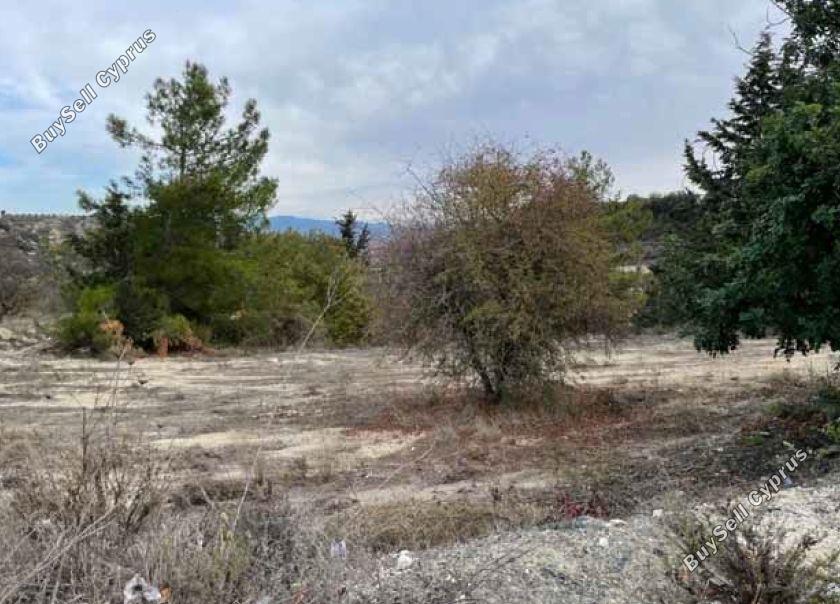 Land in Paphos (875677) for sale