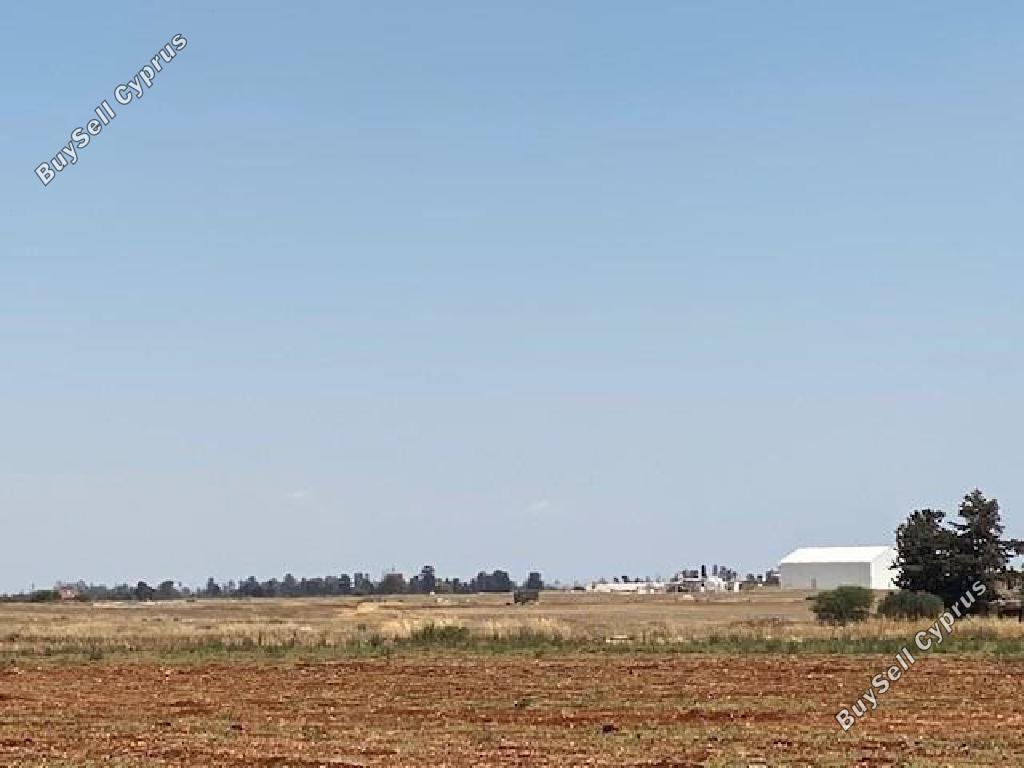 Land in Larnaca (875824) for sale
