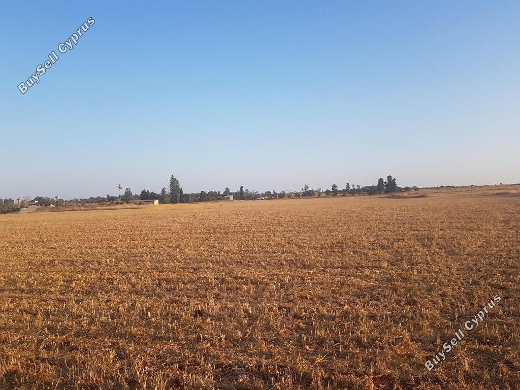 Land in Larnaca (875828) for sale