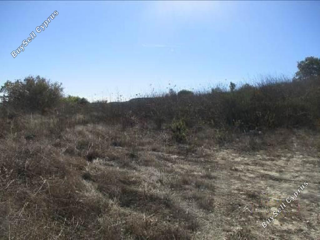 Land in Paphos (875830) for sale