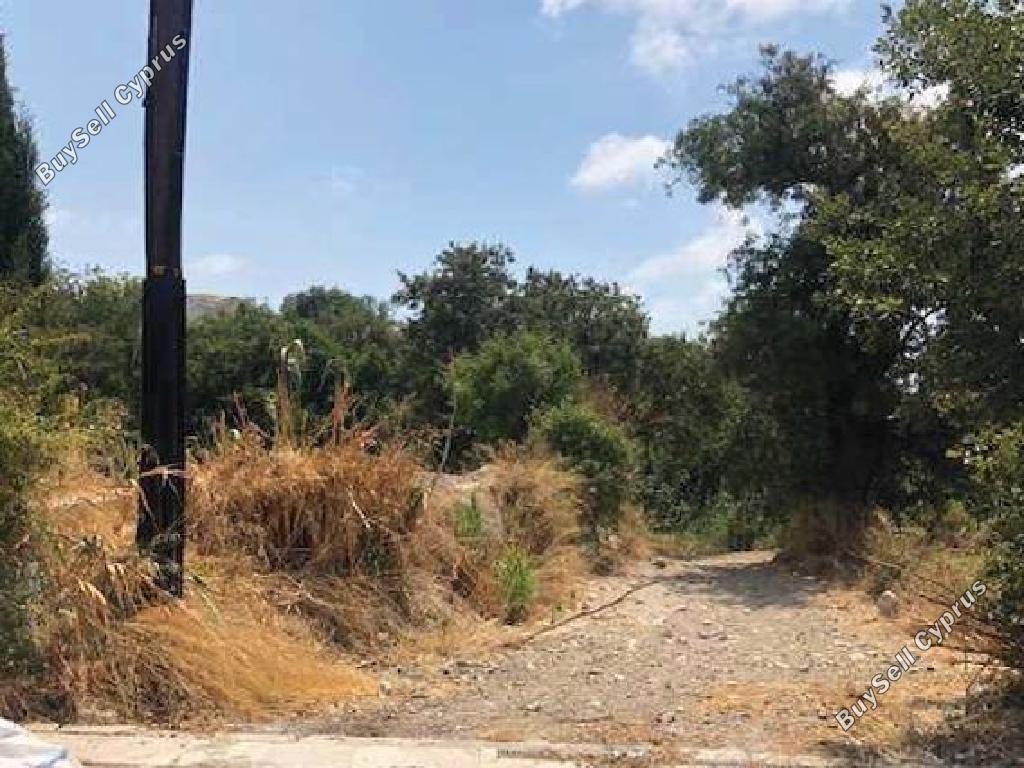 Land in Paphos (877415) for sale