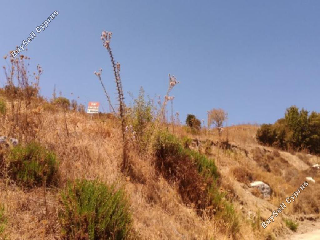 Land in Paphos (877420) for sale