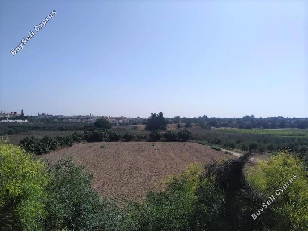 Land in Larnaca (879378) for sale