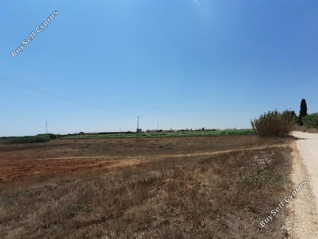 Land in Larnaca (879380) for sale