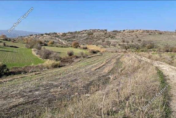 Land in Paphos (880672) for sale