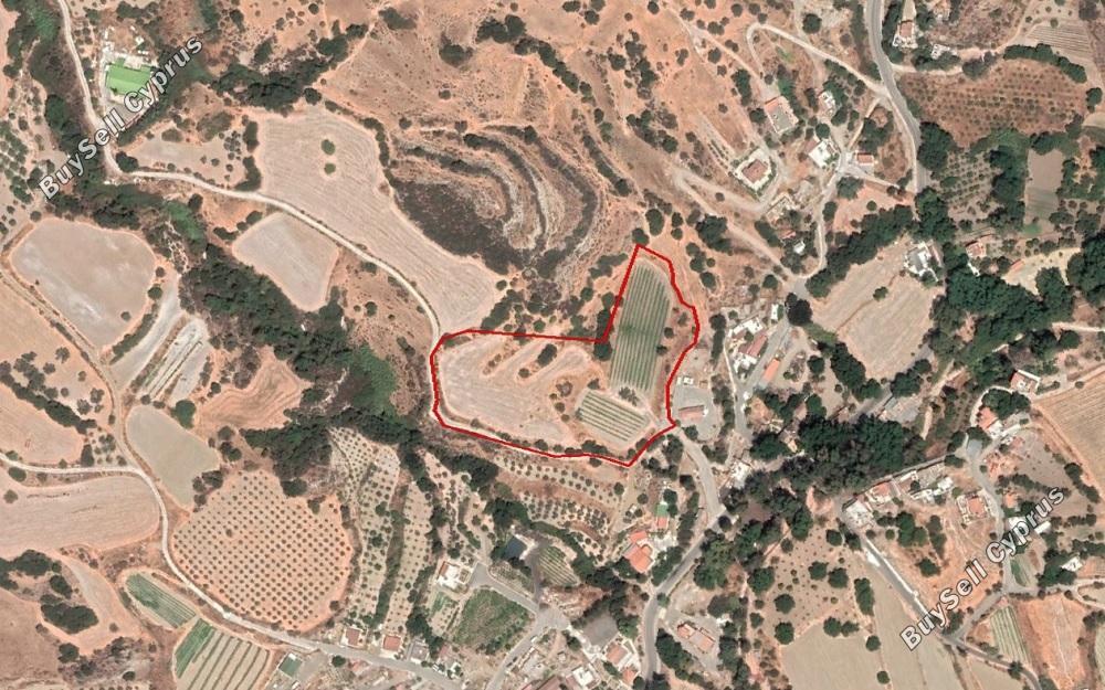 Land in Paphos (880690) for sale