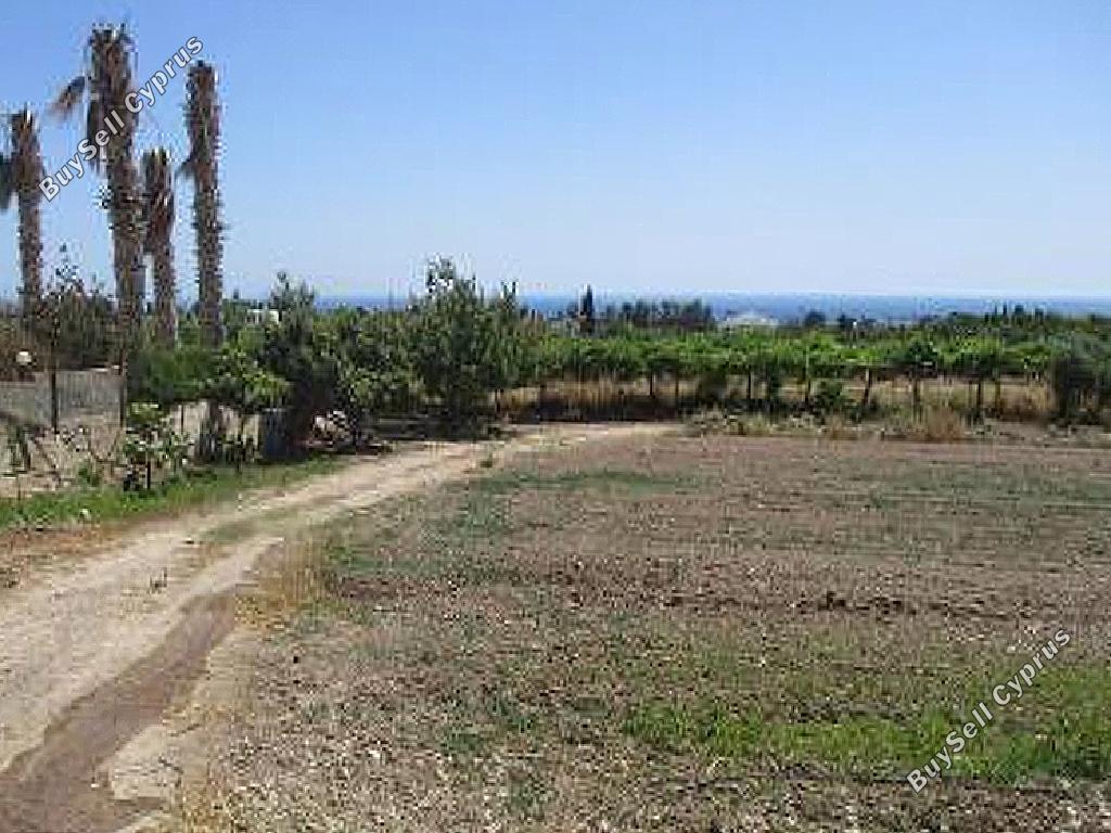 Land in Paphos (882204) for sale