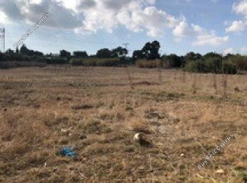 Land in Famagusta (883686) for sale