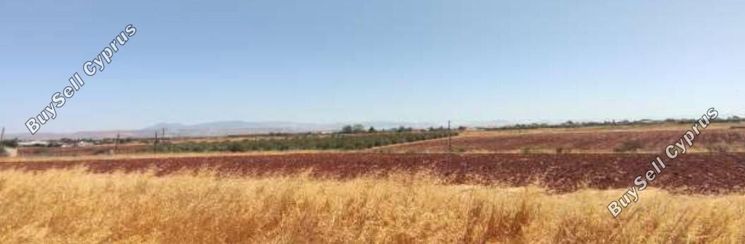 Land in Nicosia (883689) for sale