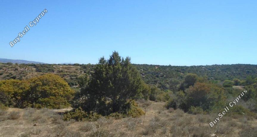 Land in Paphos (883698) for sale