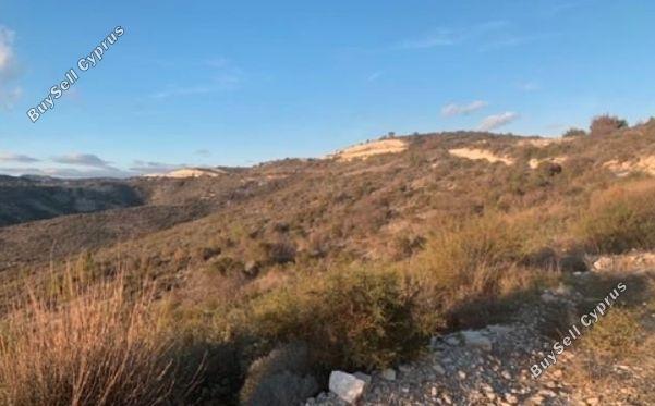 Land in Larnaca (885349) for sale