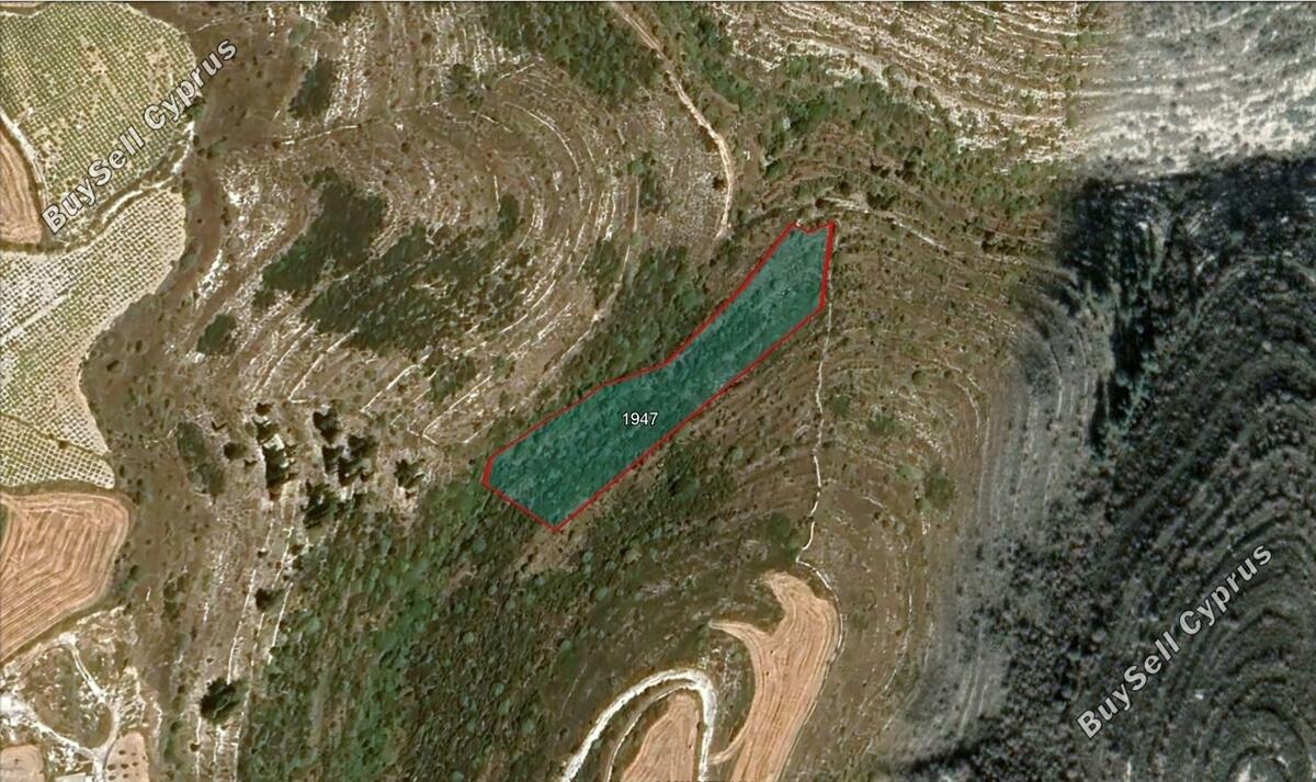 Land in Paphos (886972) for sale