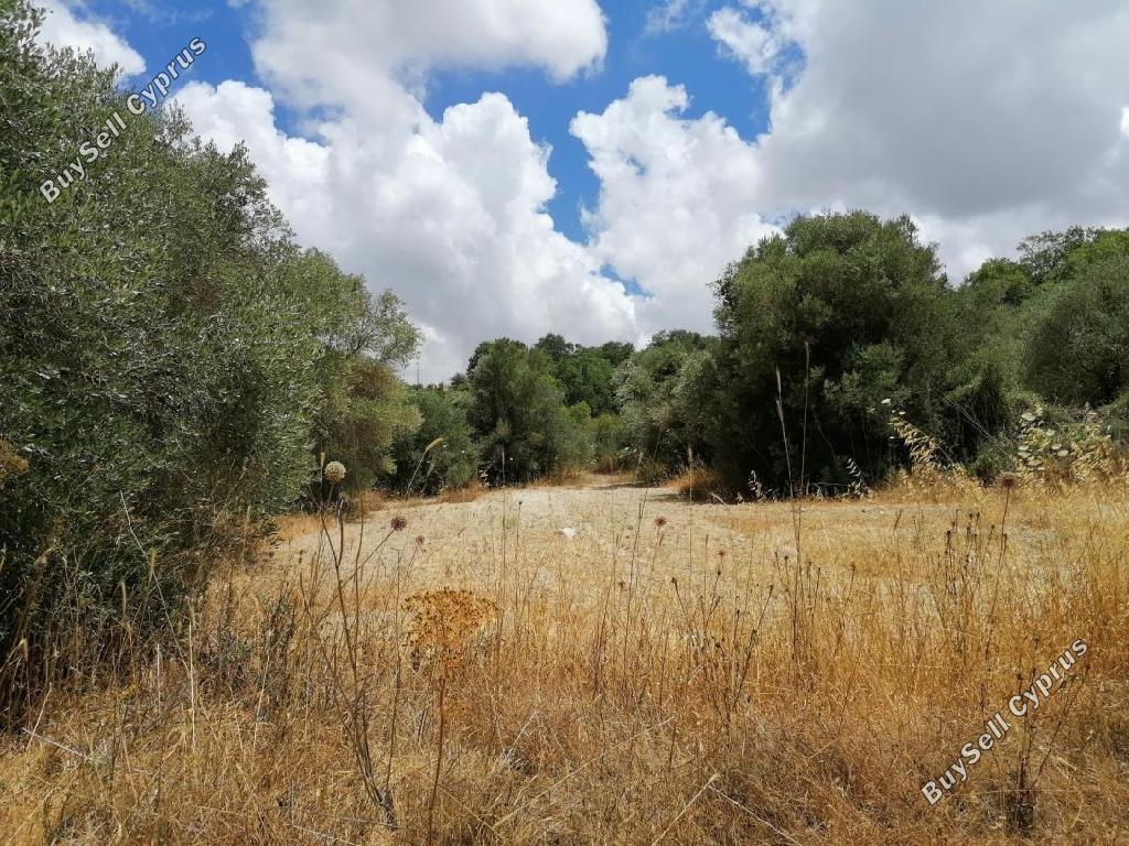Land in Paphos (887179) for sale