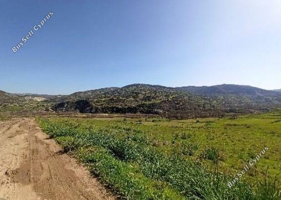 Land in Paphos (888880) for sale