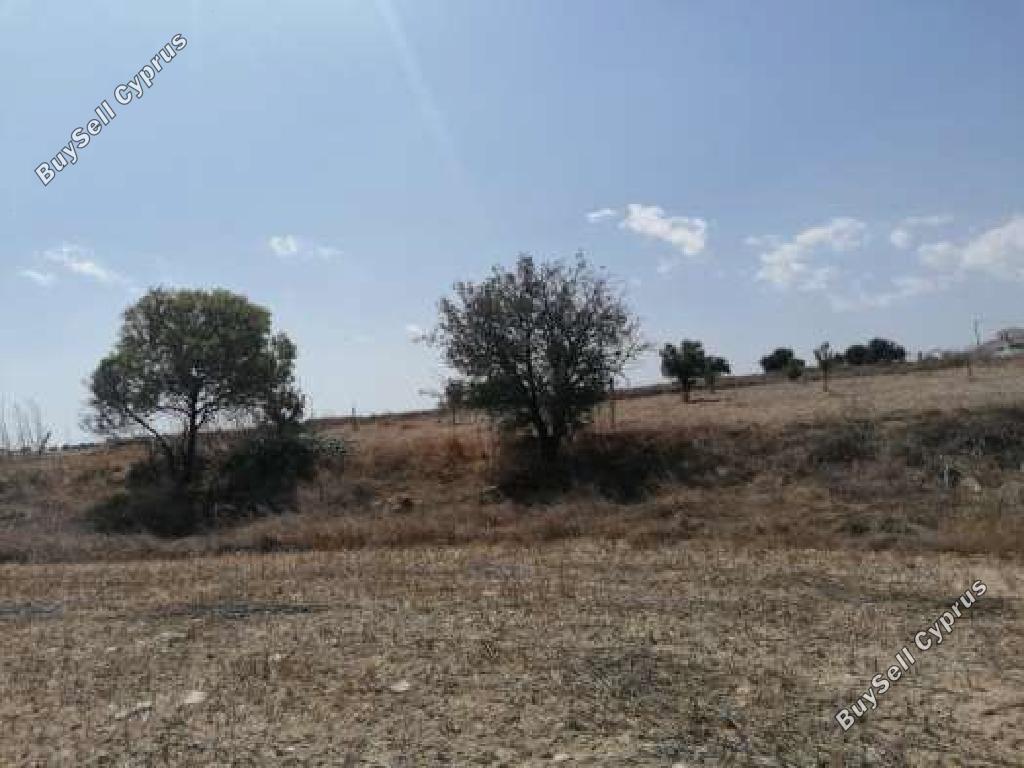 Land in Larnaca (889111) for sale