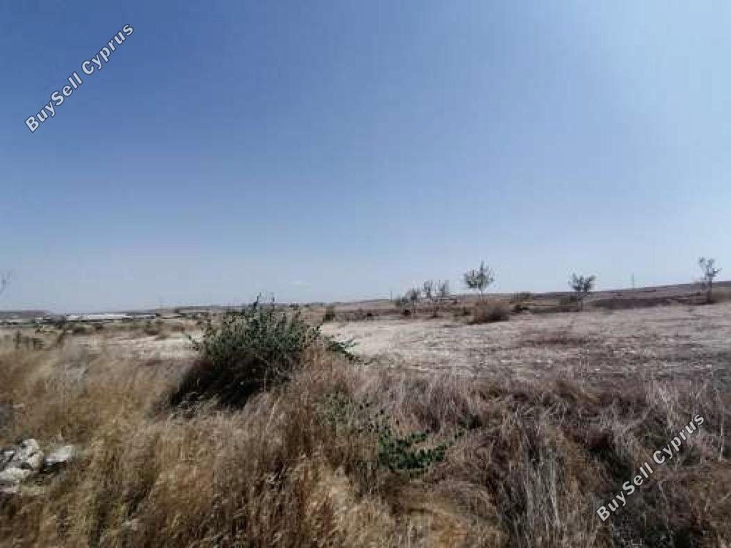 Land in Larnaca (889113) for sale