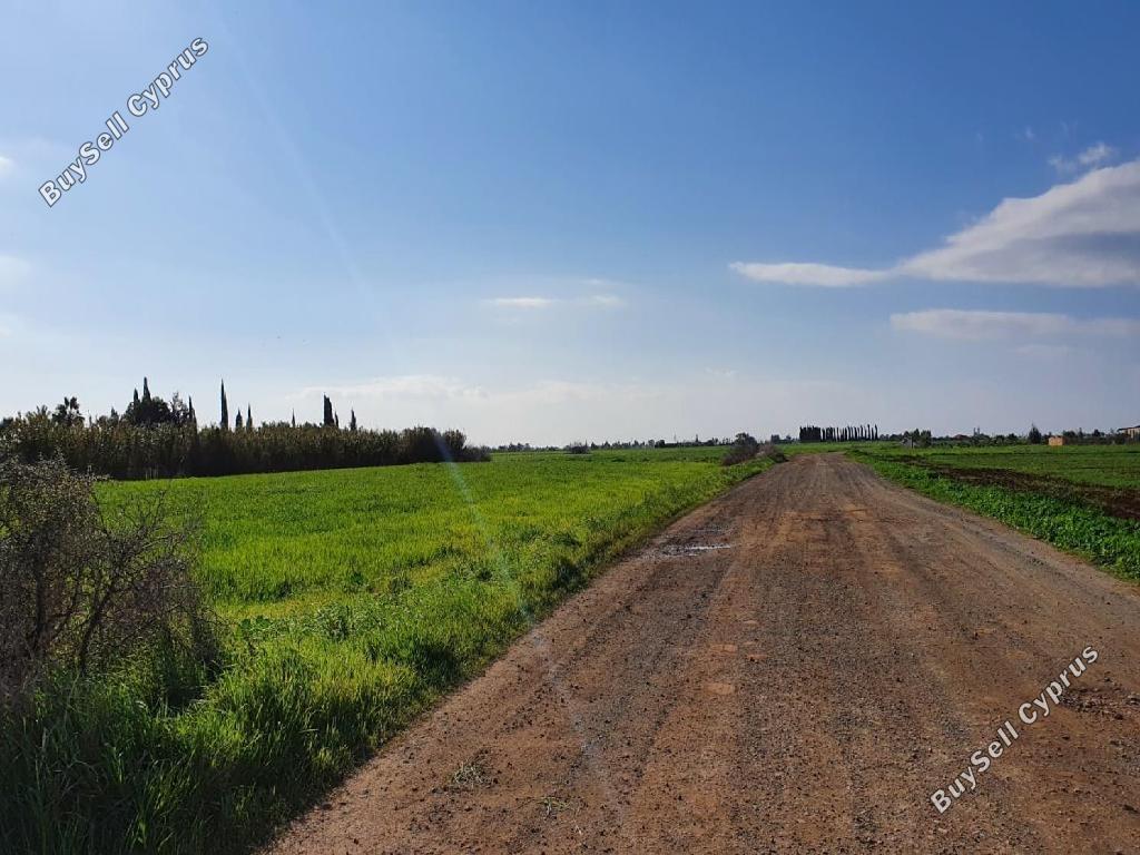 Land in Famagusta (890941) for sale