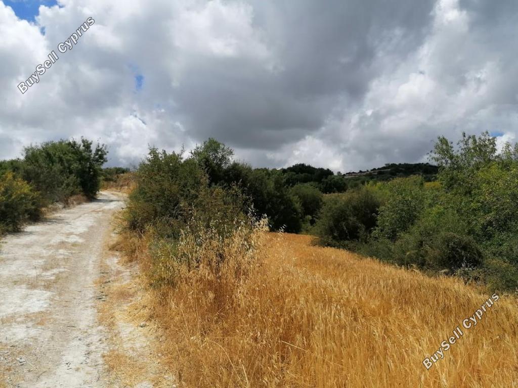 Land in Paphos (890949) for sale