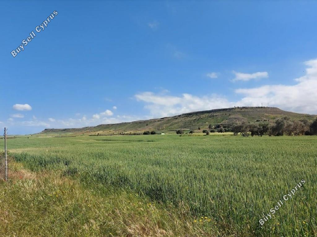Land in Nicosia (941309) for sale